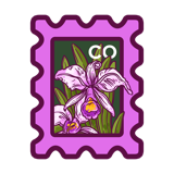 Cattleya Trianae