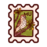 Mauritius Kestrel