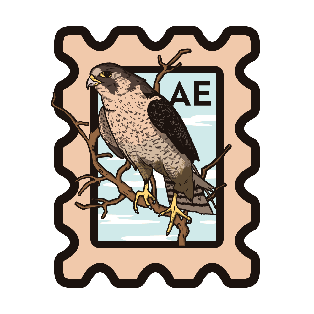 Falcon, National Bird