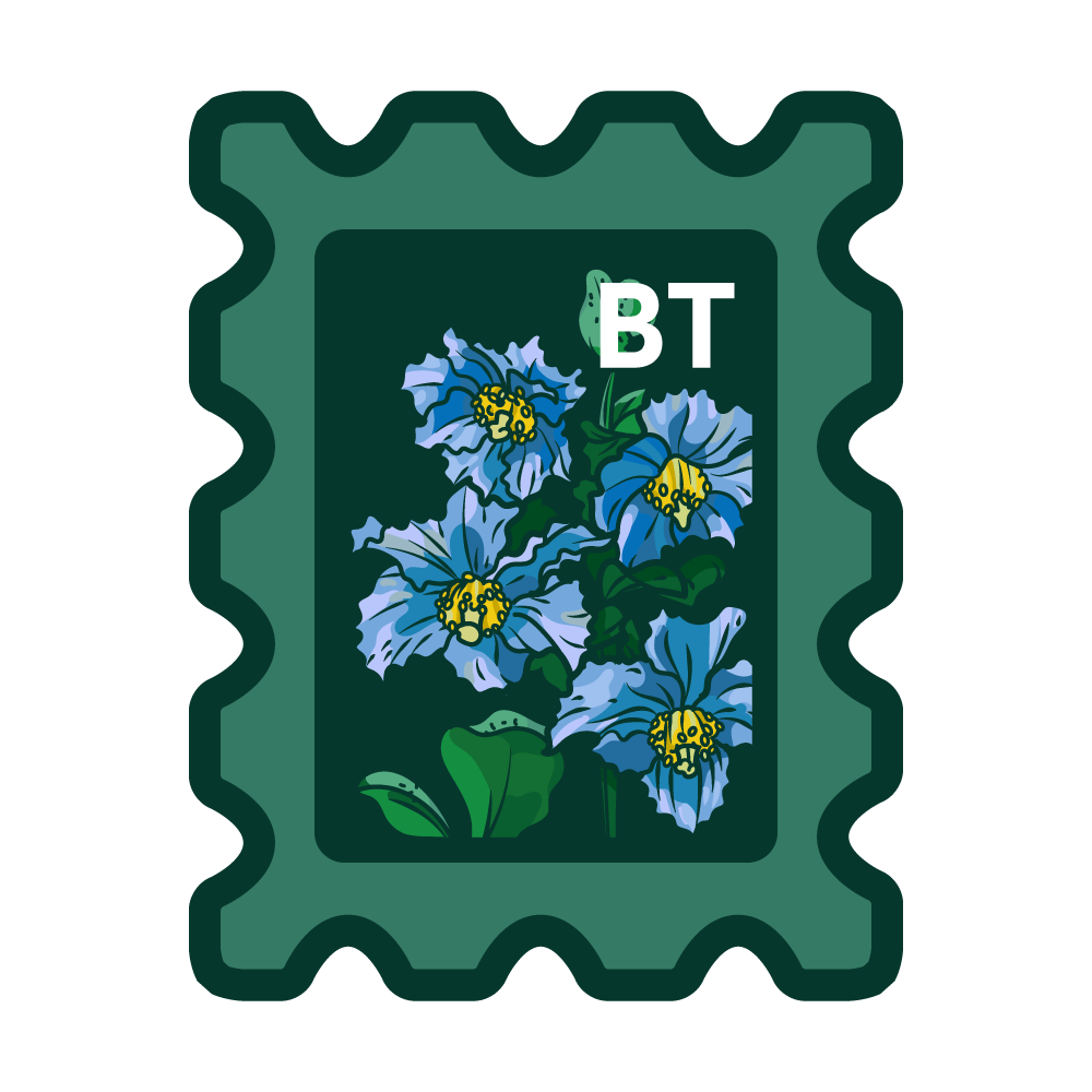 Himalayan Blue Poppy