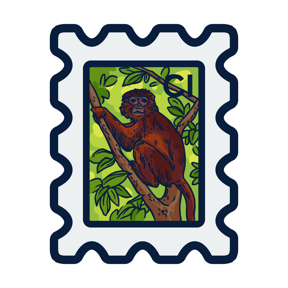 Taï National Park