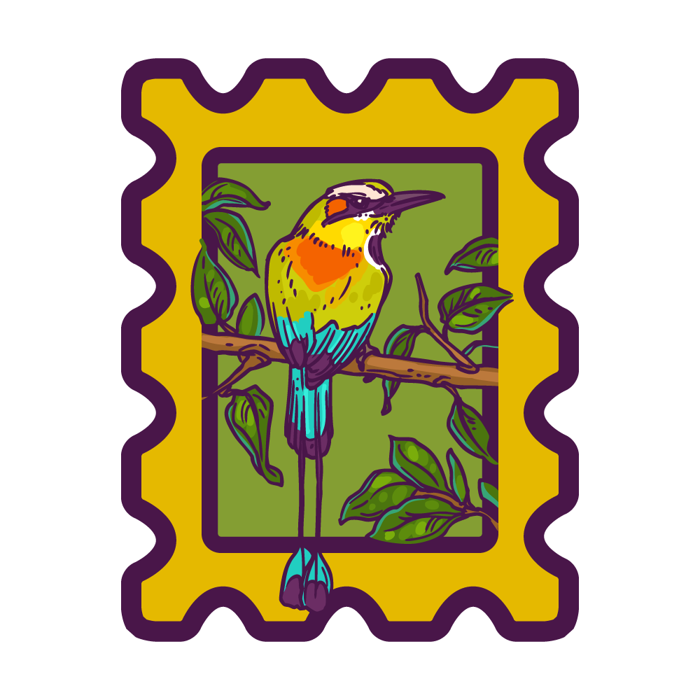 Turquoise-browed Motmot